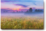 Sinus Art Wandbild 120x80cm Morgennebel über farbiger Wildblumenwiese – ideal für naturverbundene Raumgestaltung