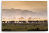 Paul Sinus Wandbild 120x80cm Elefantenherde Elefanten Afrika Tierfotografie Landschaft