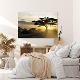 Paul Sinus Wandbild 120x80cm Burkea Bäume Afrika Sonnenuntergang Natur Wildnis