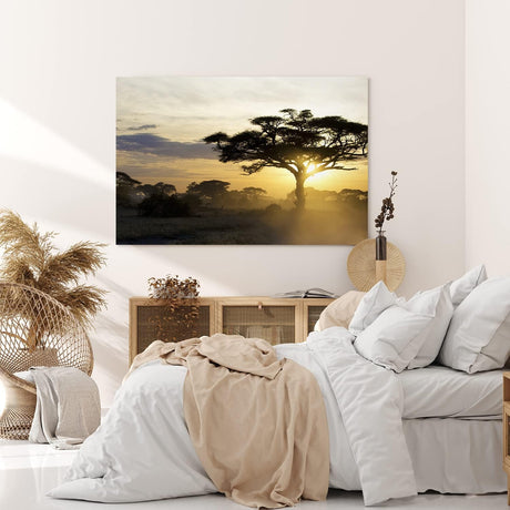 Paul Sinus Wandbild 120x80cm Burkea Bäume Afrika Sonnenuntergang Natur Wildnis