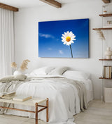 Paul Sinus Wandbild 120x80cm Gänseblümchen Blume blauer Himmel Sonnenschein