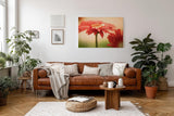 Sinus Art Wandbild 120x80cm Emotionale Nahaufnahme einer roten Gerbera mit schimmernden Tautropfen auf den Blütenblättern