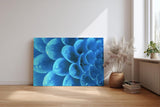 Sinus Art Wandbild 120x80cm Die Tropfen auf der blauen Blüte bringen Frische, Eleganz und Tiefe in den Raum