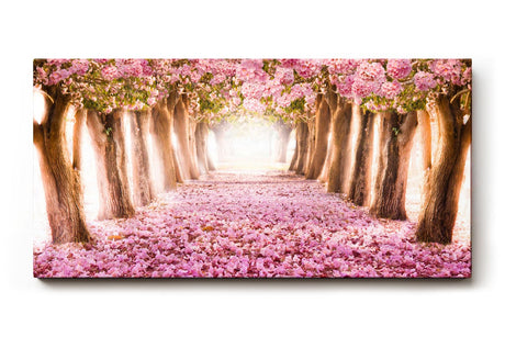 Sinus Art Wandbild 120x80cm Märchenhafter Weg unter rosa Blütenbäumen mit Perspektive und Tiefe