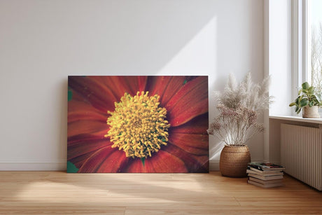Sinus Art Wandbild 120x80cm Großaufnahme einer roten Blüte mit leuchtend gelbem Zentrum – naturstark und markant