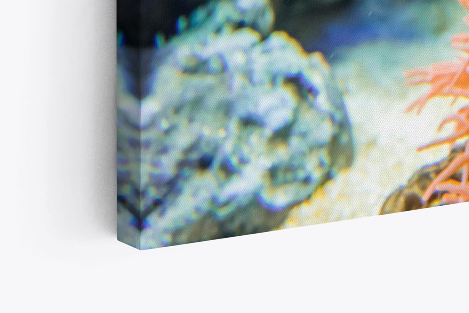 Paul Sinus Wandbild 120x80cm Clownfisch Korallen unter Wasser Fisch Farbenfroh