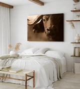Paul Sinus Wandbild 120x80cm Büffel Wasserbüffel Thailand Hörner Natur