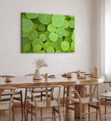 Paul Sinus Wandbild 120x80cm Lotosblätter Grün Lotus Dekorativ Pflanze Seepflanze