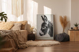 Paul Sinus Wandbild in 40x60cm The Little Donkey Nahaufnahme eines Esels in Schwarz-Weiß mit feiner Detailzeichnung
