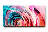 Sinus Art Wandbild 120x80cm Farbexplosive Nahaufnahme einer Rosenblüte mit natürlichen Mustern und Farbverläufen