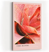 Paul Sinus Kunstdruck 40x60cm Pflanze Makro Rot Struktur Natur Tropisch Fire Bloom