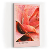 Paul Sinus Kunstdruck 40x60cm Pflanze Makro Rot Struktur Natur Tropisch Fire Bloom