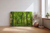 Sinus Art Wandbild 120x80cm Dichte Baumreihen und leuchtendes Laub schaffen eine friedliche, harmonische Stimmung