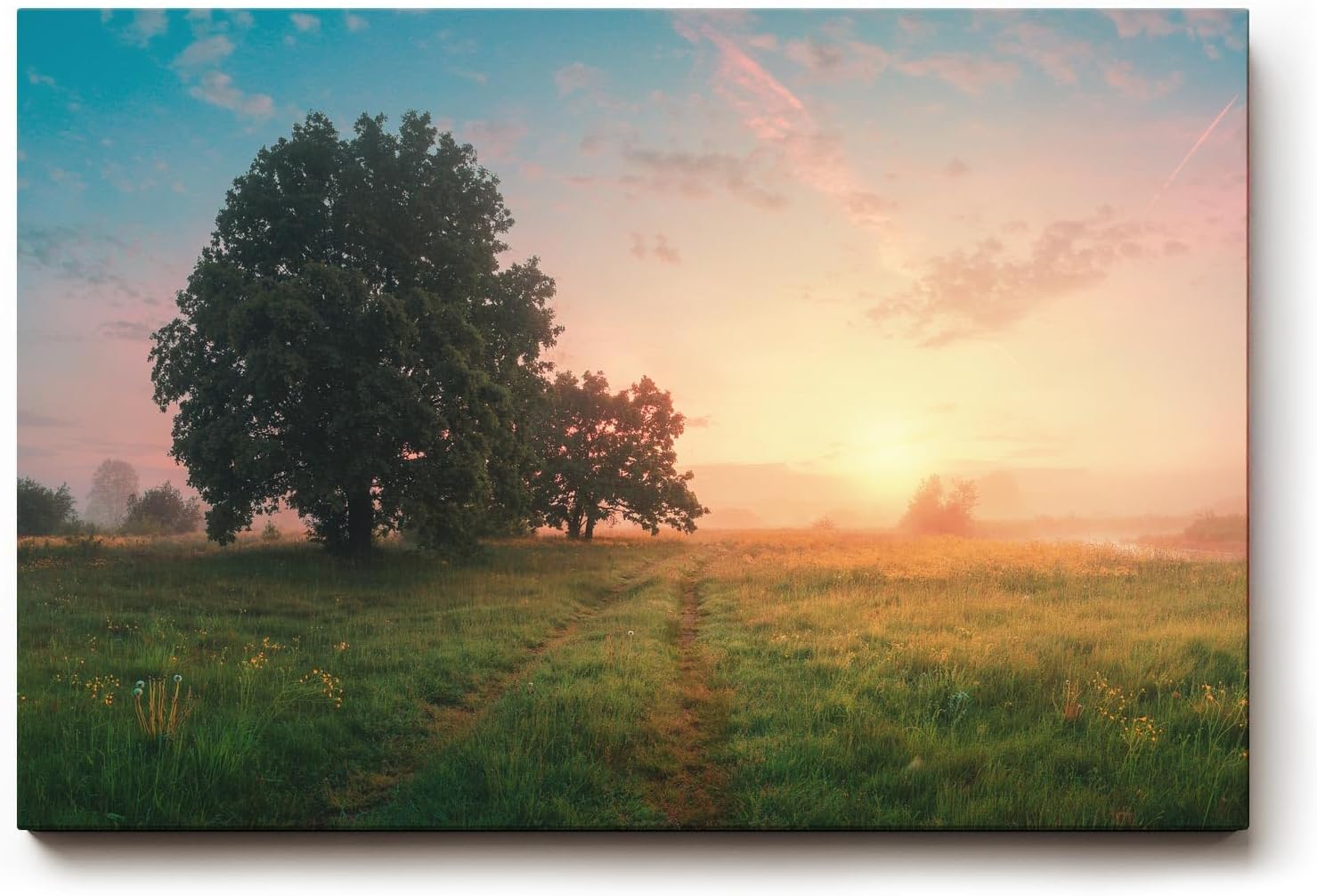 Sinus Art Wandbild 120x80cm Grüne Wiese im goldenen Morgenlicht mit Baumgruppe für eine friedliche Raumwirkung