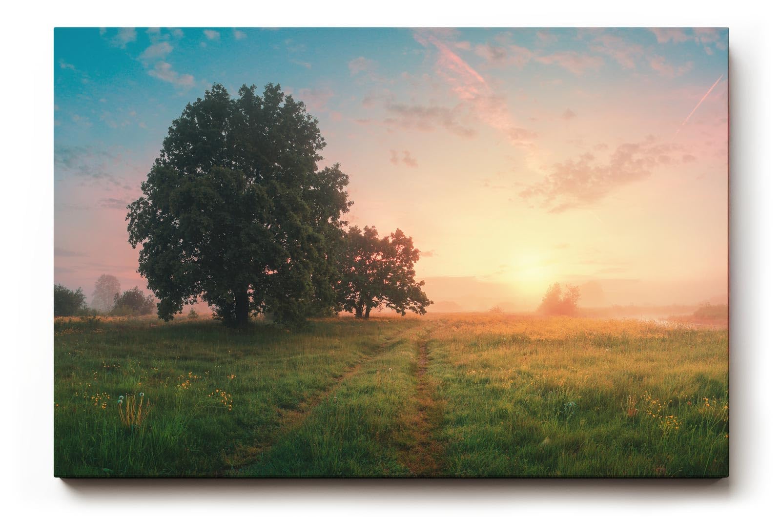 Sinus Art Wandbild 120x80cm Grüne Wiese im goldenen Morgenlicht mit Baumgruppe für eine friedliche Raumwirkung