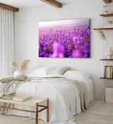 Paul Sinus Wandbild 120x80cm Blumen Blüten Violett Lavendel Blumenfeld Sonnenschein