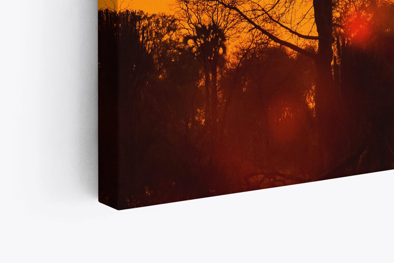 Paul Sinus Wandbild 120x80cm Afrika Wildnis Sonnenuntergang Rot Burkea Bäume Sonne