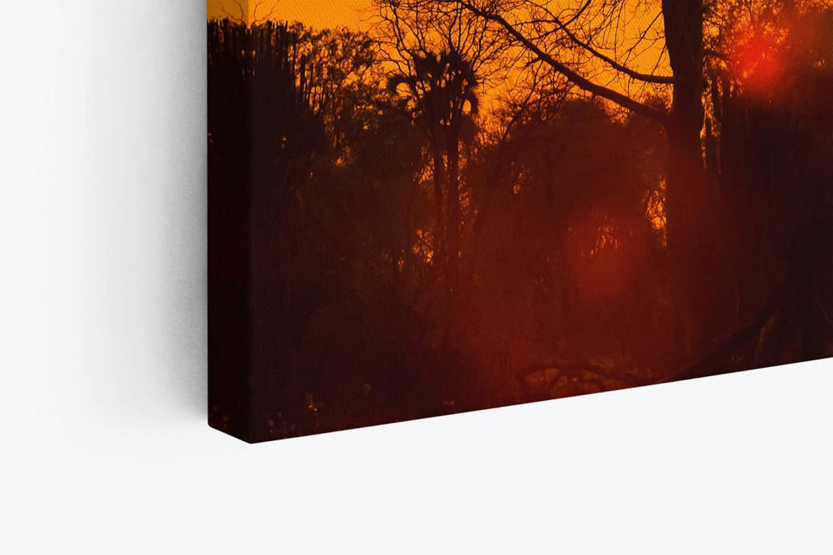 Paul Sinus Wandbild 120x80cm Afrika Wildnis Sonnenuntergang Rot Burkea Bäume Sonne