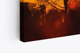 Paul Sinus Wandbild 120x80cm Afrika Wildnis Sonnenuntergang Rot Burkea Bäume Sonne