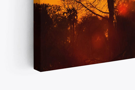Paul Sinus Wandbild 120x80cm Afrika Wildnis Sonnenuntergang Rot Burkea Bäume Sonne