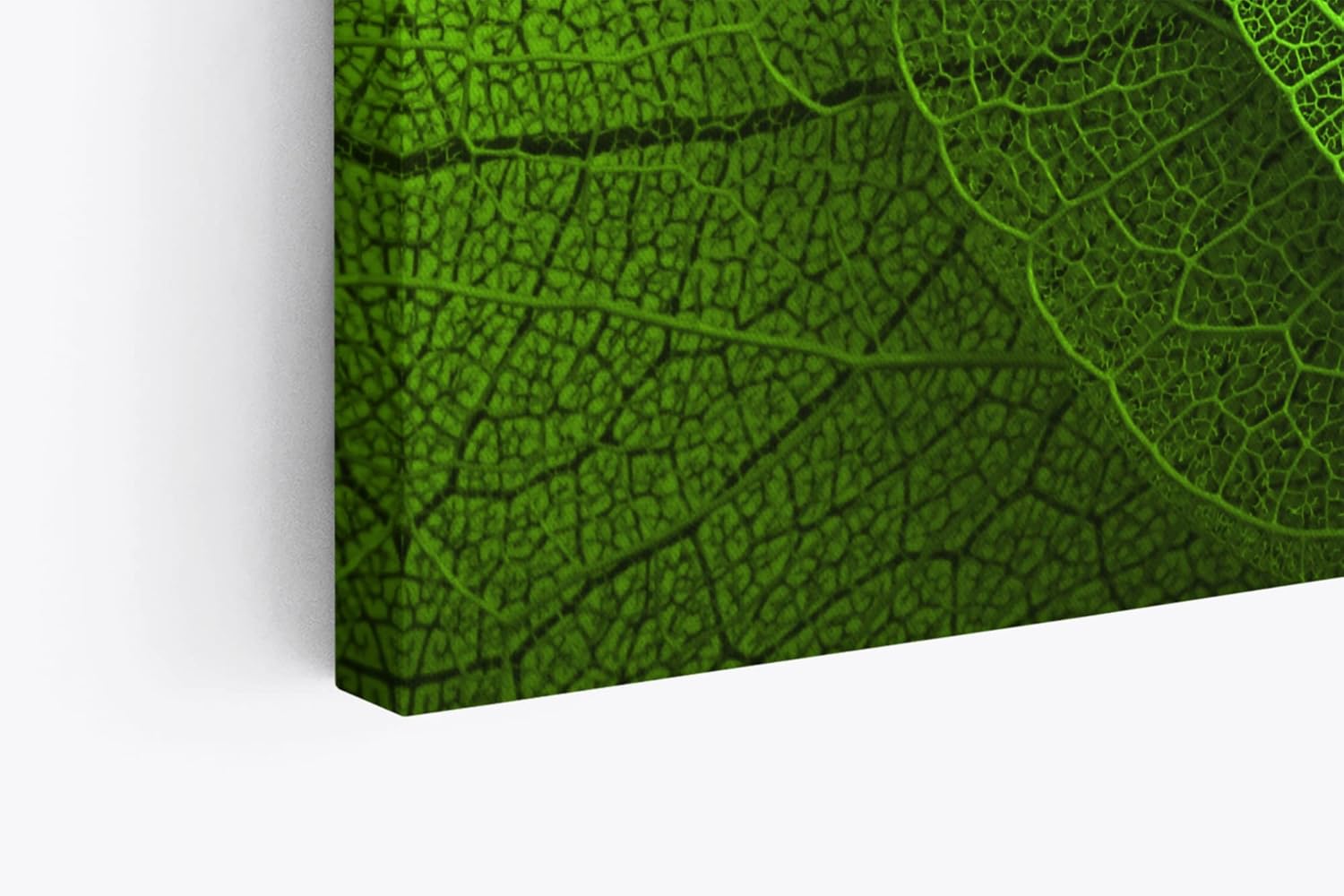 Paul Sinus Wandbild 120x80cm Pflanzenblatt grünes Blatt Nahaufnahme Dekorativ