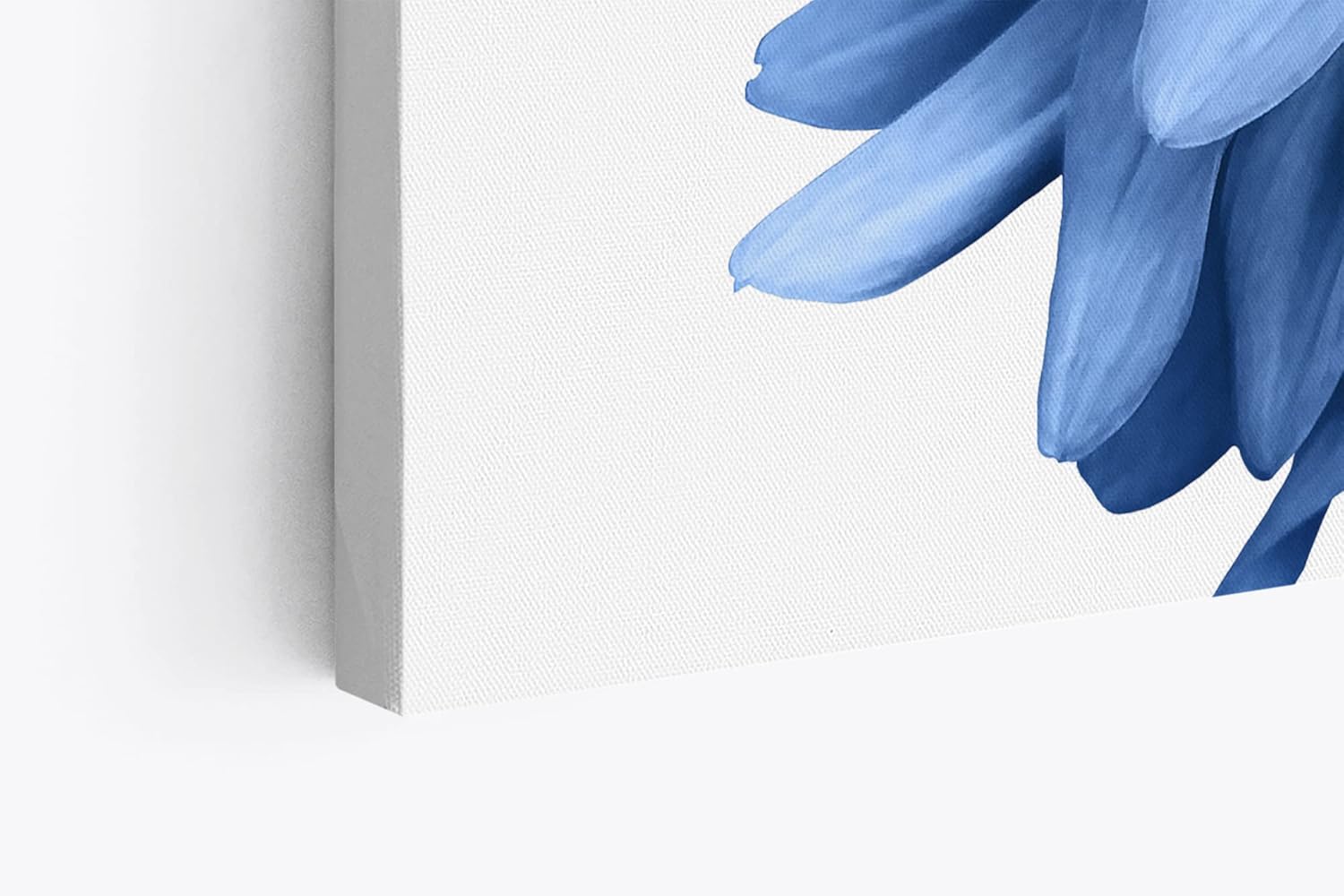 Paul Sinus Wandbild 120x80cm Dahlien Blume blaue Blüte Kunstvoll Fotokunst