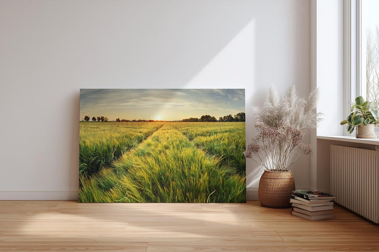 Sinus Art Wandbild 120x80cm Sonnenuntergang über einem weitläufigen Feld voller goldener Halme – friedlich und inspirierend