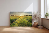 Sinus Art Wandbild 120x80cm Sonnenuntergang über einem weitläufigen Feld voller goldener Halme – friedlich und inspirierend