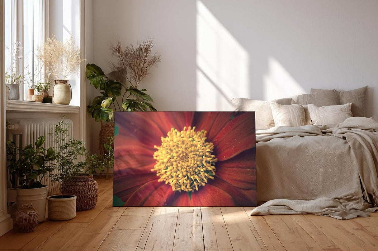 Sinus Art Wandbild 120x80cm Großaufnahme einer roten Blüte mit leuchtend gelbem Zentrum – naturstark und markant