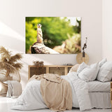 Paul Sinus Wandbild 120x80cm Erdmännchen auf einen Stein Tierfotografie Afrika