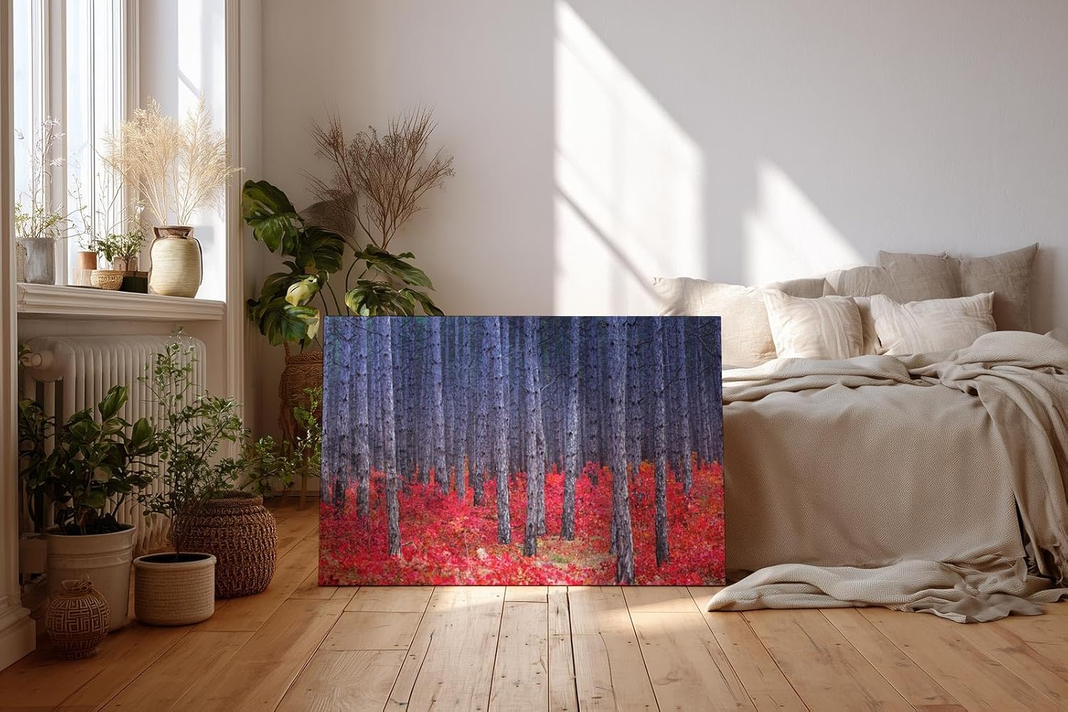 Sinus Art Wandbild 120x80cm Kontrastreiches Bild mit blau-grauen Baumstämmen und leuchtend rotem Waldboden