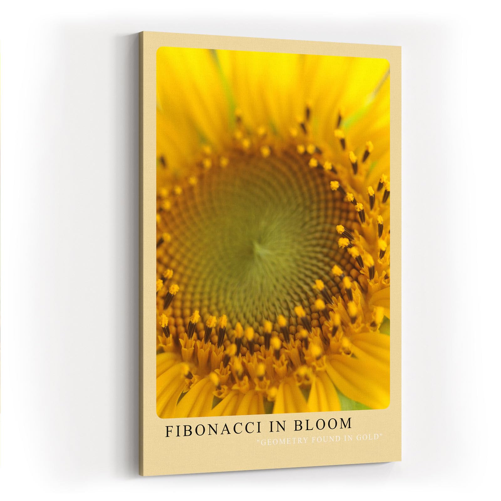Paul Sinus Kunstdruck 40x60cm Fibonacci in Bloom Sonnenblume Makro Gelb Natur Geometrie Bruchstruktur