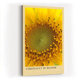 Paul Sinus Kunstdruck 40x60cm Fibonacci in Bloom Sonnenblume Makro Gelb Natur Geometrie Bruchstruktur