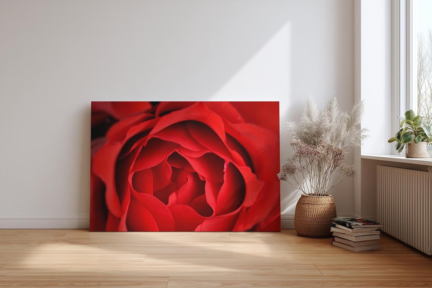 Sinus Art Wandbild 120x80cm Detailreiche Nahaufnahme einer geöffneten roten Rose mit sanft geschwungenen Blütenblättern