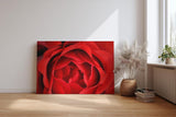 Sinus Art Wandbild 120x80cm Detailreiche Nahaufnahme einer geöffneten roten Rose mit sanft geschwungenen Blütenblättern