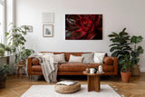 Sinus Art Wandbild 120x80cm Modernes Pflanzendetail mit ausdrucksstarken Formen und leuchtender Linienführung