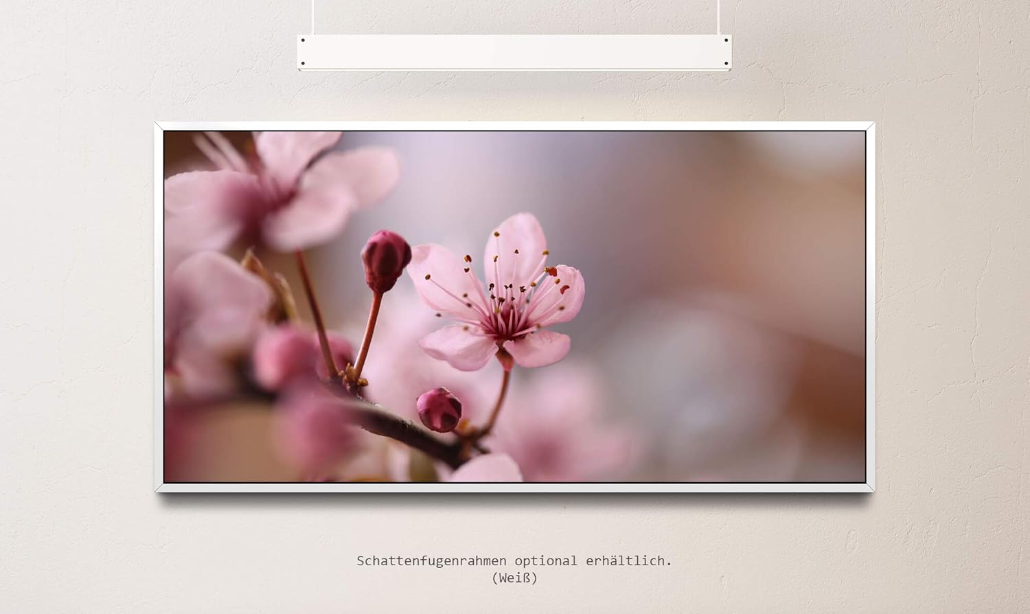 Blumen in rosa ca. 130x70cm Wandbild inklusive Schattenfugenrahmen weiss - Panorama Leinwand Bild XXL Format Wandbilder Wohnzimmer Wohnung Deko Kunstdrucke