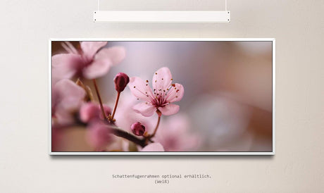 Blumen in rosa ca. 130x70cm Wandbild inklusive Schattenfugenrahmen weiss - Panorama Leinwand Bild XXL Format Wandbilder Wohnzimmer Wohnung Deko Kunstdrucke