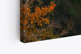 Paul Sinus Wandbild 120x80cm Tortum Wasserfall Türkei Felsen Natur Sonnenuntergang