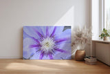 Sinus Art Wandbild 120x80cm Detailreiche Darstellung einer Clematisblüte in Violett mit weißem Zentrum