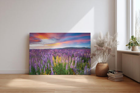 Sinus Art Wandbild 120x80cm Leuchtende Lupinen in Violett, Pink und Gelb vor einem dramatischen Abendhimmel