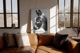 Paul Sinus Wandbild in 40x60cm The Little Donkey Nahaufnahme eines Esels in Schwarz-Weiß mit feiner Detailzeichnung