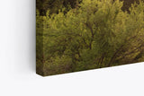 Paul Sinus Wandbild 120x80cm Berge Landschaft Tannenwald Wald Bäume Natur