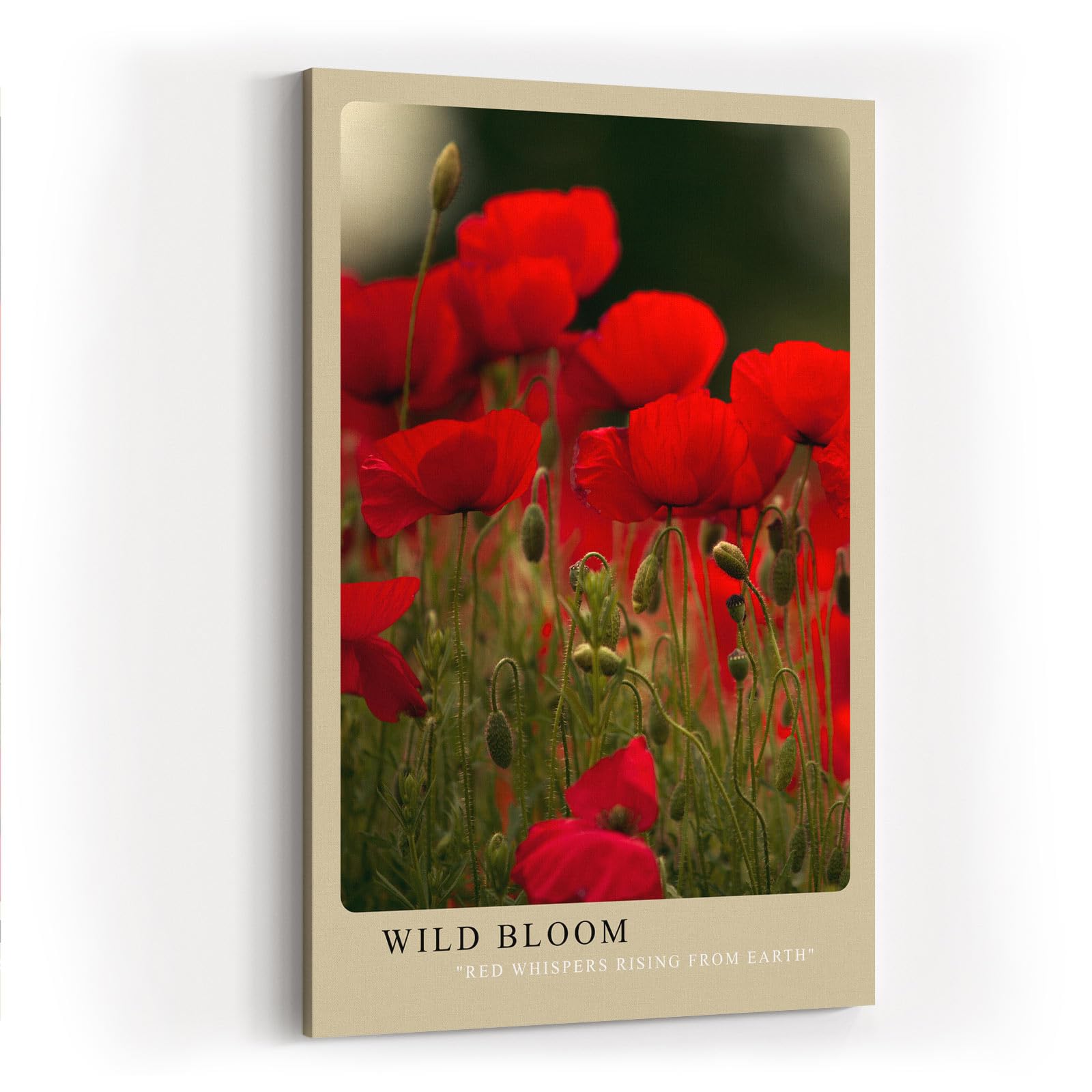 Paul Sinus Kunstdruck 40x60cm Mohnblumen Feld Natur Blüte Wildblumen Rot Wild Bloom