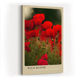 Paul Sinus Kunstdruck 40x60cm Mohnblumen Feld Natur Blüte Wildblumen Rot Wild Bloom