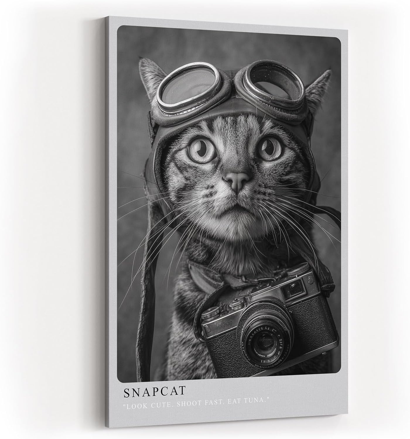 Paul Sinus Wandbild in 40x60cm Snapcat – Humorvolles Katzenporträt in Schwarz-Weiß mit Kamera und Fliegerbrille