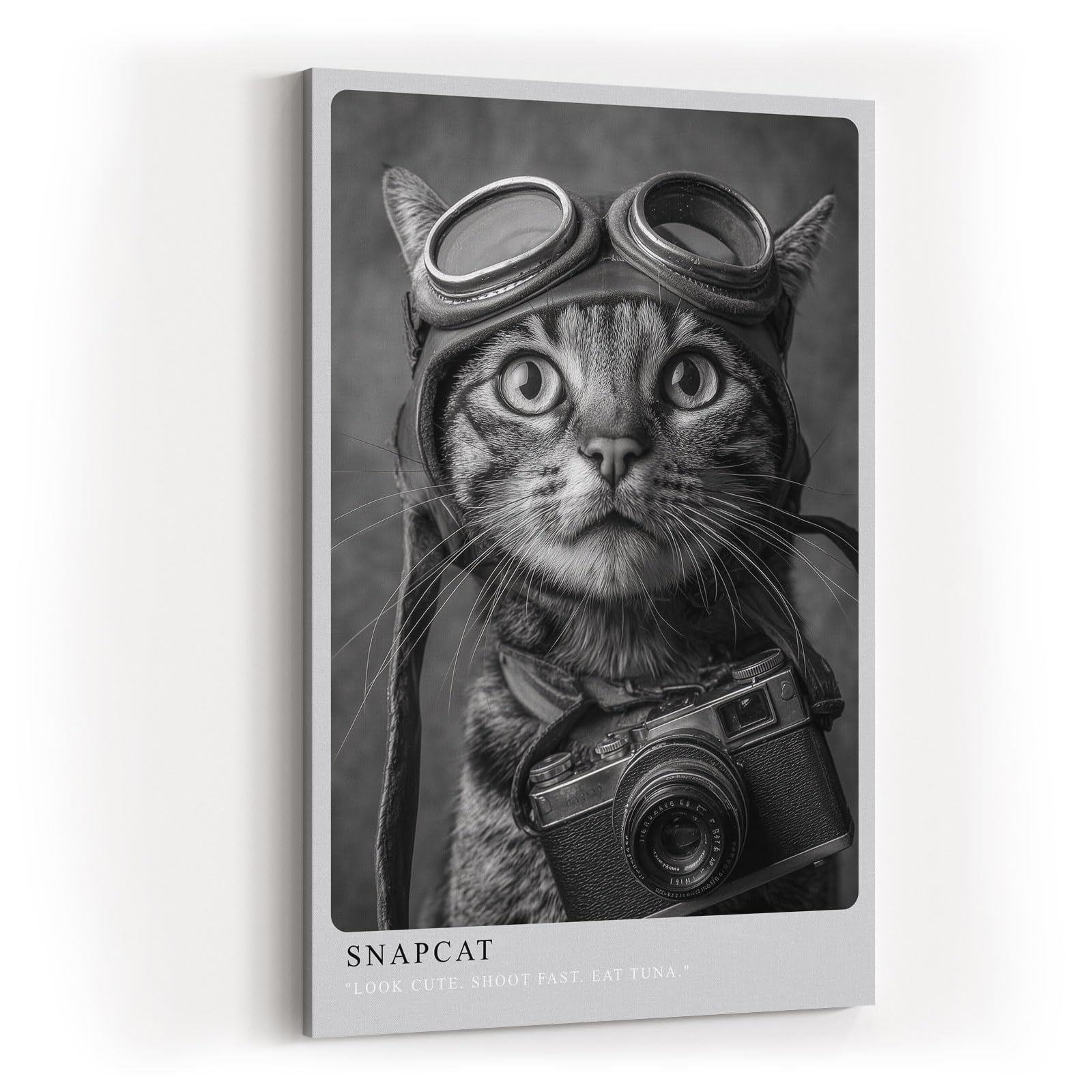 Paul Sinus Wandbild in 40x60cm Snapcat – Humorvolles Katzenporträt in Schwarz-Weiß mit Kamera und Fliegerbrille
