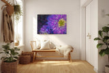 Sinus Art Wandbild 120x80cm Zwei Blüten in Nahaufnahme – detailreich und harmonisch miteinander verschmolzen