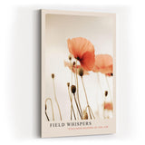Paul Sinus Kunstdruck 40x60cm Field Whispers – Zarte Mohnblumen im Gegenlicht als poetisches Naturmotiv in sanften Tönen