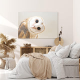 Paul Sinus Wandbild 120x80cm Schleiereule Eule mit geneigten Kopf Tierfotografie